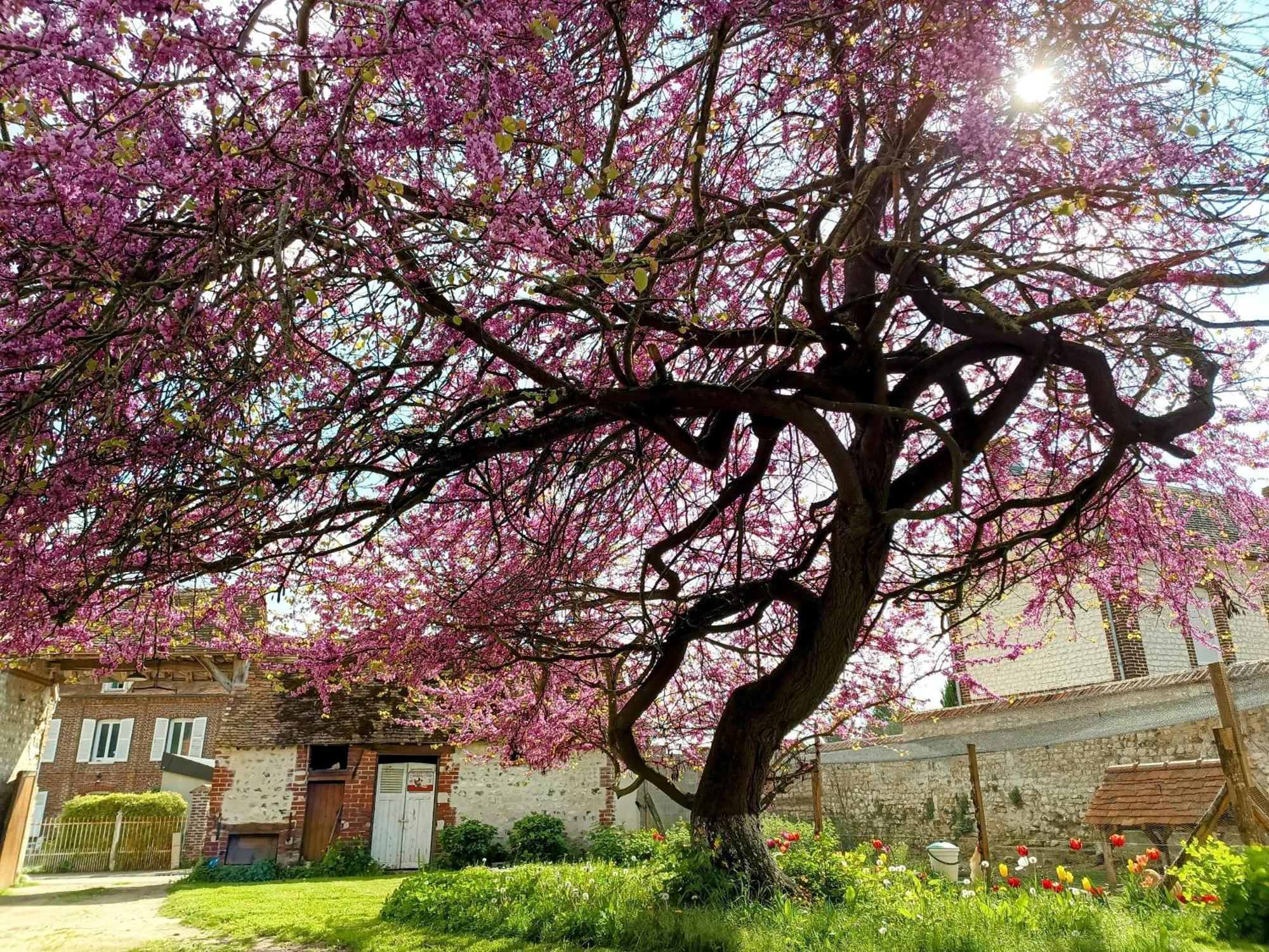Вилла Les Jardins De Felicie Poses Экстерьер фото